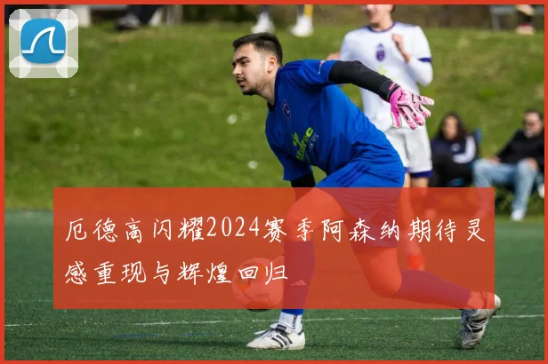厄德高闪耀2024赛季阿森纳期待灵感重现与辉煌回归