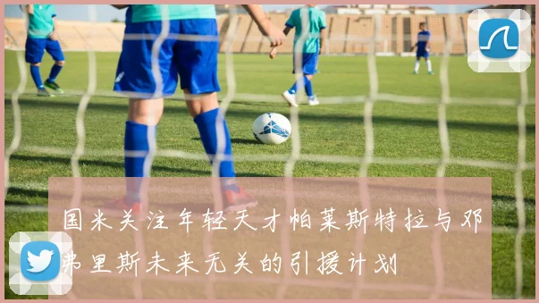 国米关注年轻天才帕莱斯特拉与邓弗里斯未来无关的引援计划