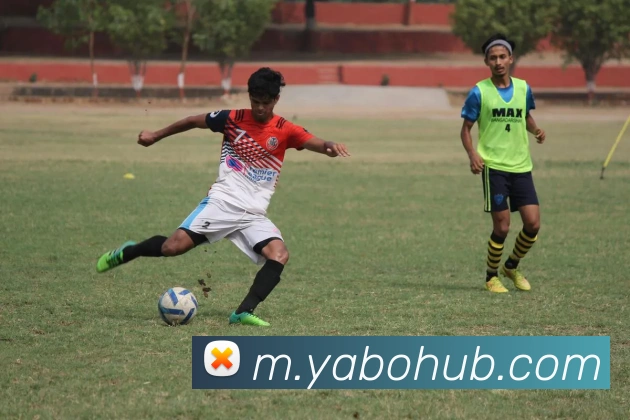 亚博体育平台生态图